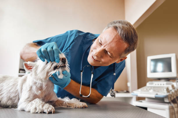 Best Emergency Tooth Extraction  in Keller, TX